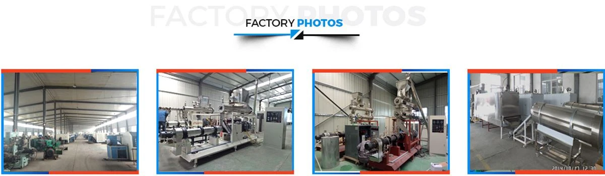 Fish Feed Processing Machine