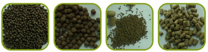 fish feed processing machine